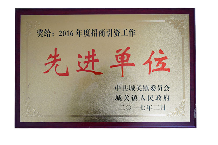 招商引资先进单位